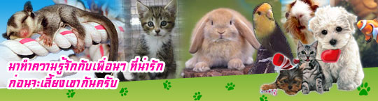 ��ͧ�š�ͧ�ѵ��